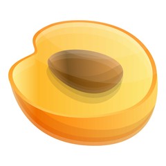 Poster - Half apricot icon. Cartoon of half apricot vector icon for web design isolated on white background