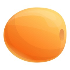 Poster - Fresh eco apricot icon. Cartoon of fresh eco apricot vector icon for web design isolated on white background