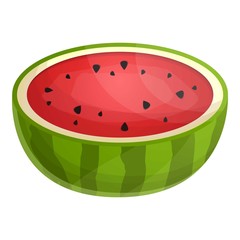 Poster - Juicy half watermelon icon. Cartoon of juicy half watermelon vector icon for web design isolated on white background