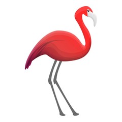 Poster - Flamingo icon. Cartoon of flamingo vector icon for web design isolated on white background