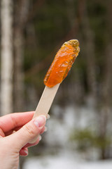 Wall Mural - Making maple candy on snow in a maple sugar camp in New Brunswick