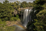 Fototapeta Łazienka - The Rainbow Falls, Māori name Waianiwaniwa, are a single-drop waterfall located on the Kerikeri River near Kerikeri in New Zealand.