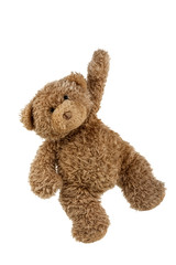 teddy bear isolated on white background