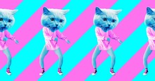 Minimal Animation Design. Pretty Kitty. Strip Lover Vibes. Pop And Dance Mood
