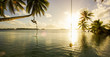 © Tandem Stock - Man climbing palm tree, Palmyra Atoll National Wildlife Refuge