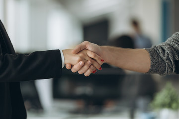 Two confident business man shaking hands during a meeting in the office, success, dealing, greeting and partner concept.