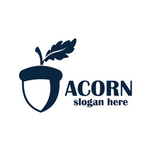 Acorn Logo Design Vector