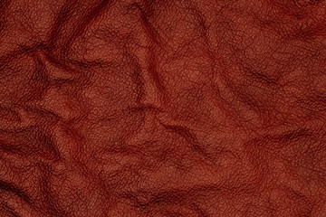 Wall Mural - Natural dark leather abstract background detailed closeup. 