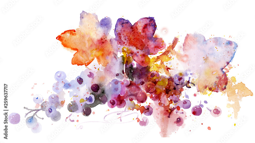 Multicolored grapes, watercolor illustration. Plant element for design and creativity. Beautiful vine on a white background. Beautiful watercolor fruits. - obrazy, fototapety, plakaty 