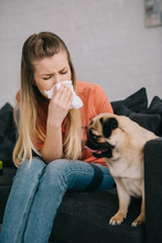 Selective Focus Of Girl Allergic To Dog Sitting Near Cute Pug
