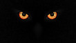 Halloween staring scary spooking evil Owl eyes on dark grunge background