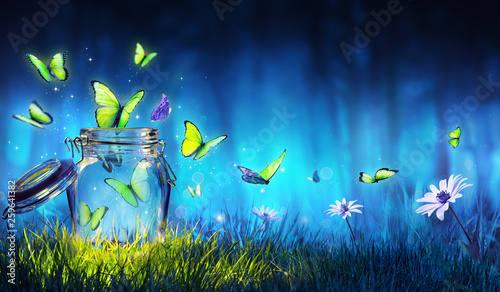 freedom-concept-magic-butterflies-flying-out-of-the-jar-on-the-lawn