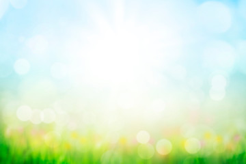 Wall Mural - abstract background with green grass and flowers over sunny blue sky