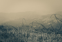 Landscape Tangled Barbed Wire In The Vietnam War