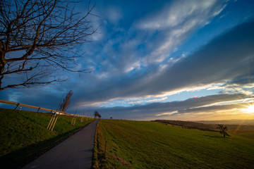 Wall Mural - Sunrise in spring field at early morning