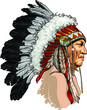 Detailed, hand drawn, native american sitting bull vector portrait. Headdress with feathers indian chief of tribe.