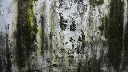 Old White stone wall with green moss texture background