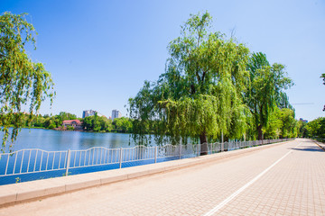 Pavement along the coastal area near the pond in the city park