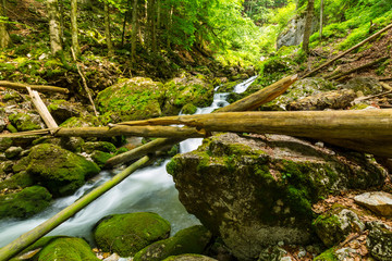 Wall Mural - Pristine river and waterfalls deep in the mountains, in summer, and bright green foliage