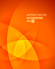 Abstract Orange Smooth Light Lines Vector Background.
