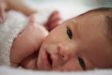 Close-up Portrait Of Newborn Baby