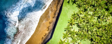 Aerial Photo Of Green Palms And Sea With Beach 