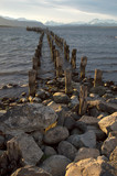 Fototapeta Pomosty - Old pier structure at Puerto Natales, Chile at sunset