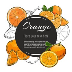 Wall Mural - Vector sketch Orange banner on white background. With place for text. Hand drawn sketch fruit graphic design	