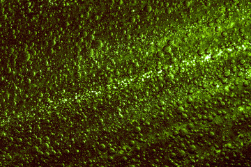 Wall Mural - Light beam rays through three dimensional green fluid with transparent air bubbles.