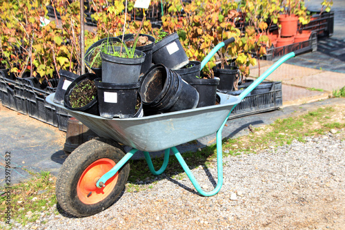 Two Wheeled Wheelbarrow Loaded With Used Plastic Pots In The Autumn Nursery Garden Buy This Stock Photo And Explore Similar Images At Adobe Stock Adobe Stock
