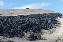 Huge Pile Of Old Auto Tires Between Meadow