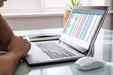Poster - Businessperson Examining Reports On Laptop