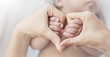 © paulaphoto - Asian newborn baby holding mother hands in heart shape, Closeup hand of asian newborn baby. copy space background banner family parents love mother’s day concept banner
