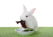 Baby Albino Bunny Rabbit Sitting On A Green Weave Place Mat With Tiny Bowl Of Lettuce, Eating, Isolated On White Background.