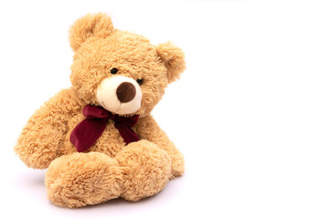 brown teddy bear isolated on white background.
