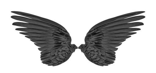 Wall Mural - black wings on white background