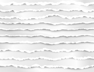 Poster - Set of torn paper stripes. Abstract paper texture with damaged edge. Vector illustration isolated on transparent background