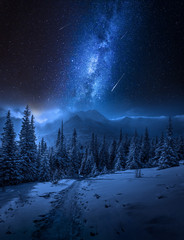 Wall Mural - milky way, tatras mountains in winter at night, poland