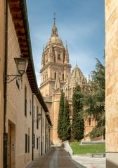 Wall Mural - Salamanca cathedral