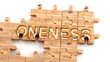 Complex and confusing oneness: learn complicated, hard and difficult concept of oneness,pictured as pieces of a wooden jigsaw puzzle creating a whole, completed word, 3d illustration