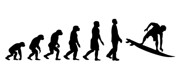 Theory of evolution of man. Vector silhouette of homo sapiens. Symbol from monkey to surfer.