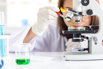 Scientist dropping liquid to petri dish..