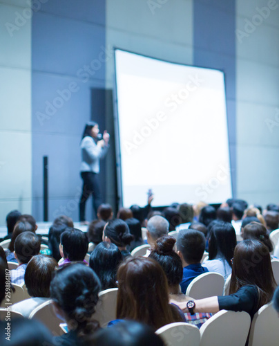 Fotomural Businesswoman explaining new plan in conference room