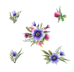  Meadow flowers: bellflower, cirsium, clover and other. Watercolor illustration. Floral elements isolated on white background.