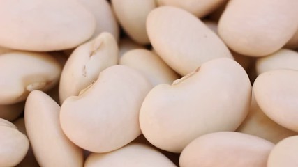 Sticker - White beans close up