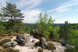 Fototapeta Natura - Hills and rocks in Fontainebleau forest