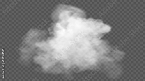 Fotografía Transparent special effect stands out with fog or smoke