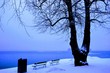 Two Benches in snow island near tree evening wallpaper