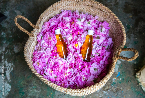 Photographie rose water bottles inside a basket of rose petals