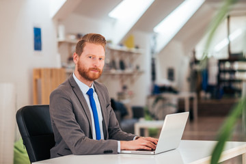 Wall Mural - Portrait of a serious office worker in formal wear working on laptop.